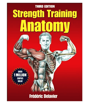 strength-training-anatomy