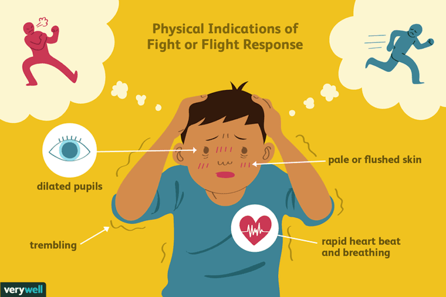 Fight Or Flight Stress Response Illustrated