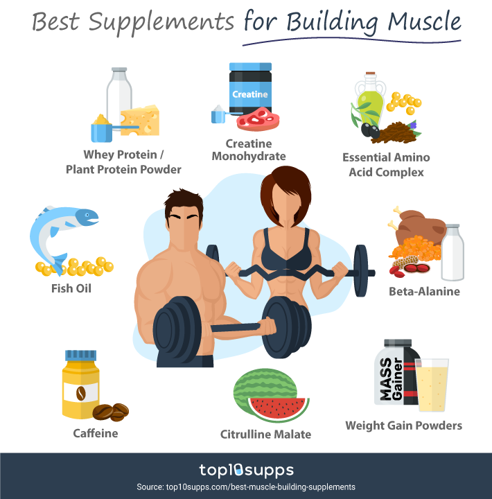 Best Muscle Building Supplements Infographic From Top10supps