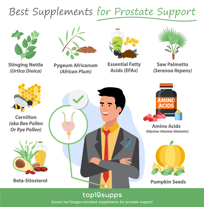 Best Supplements For Prostate Support Infographic From Top10supps 2