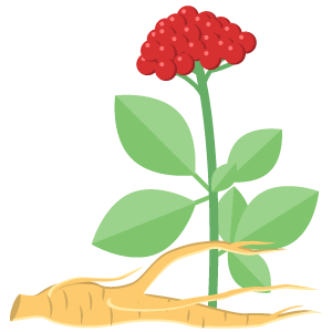 Ginseng Root Extract