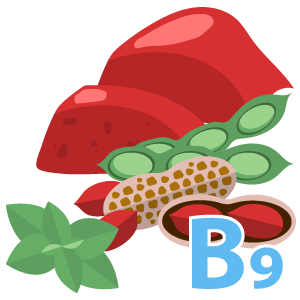 Sources Of Folic Acid