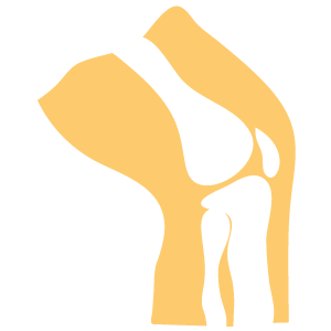 Sources Of Glucosamine