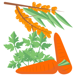 Sources Of Beta Carotene