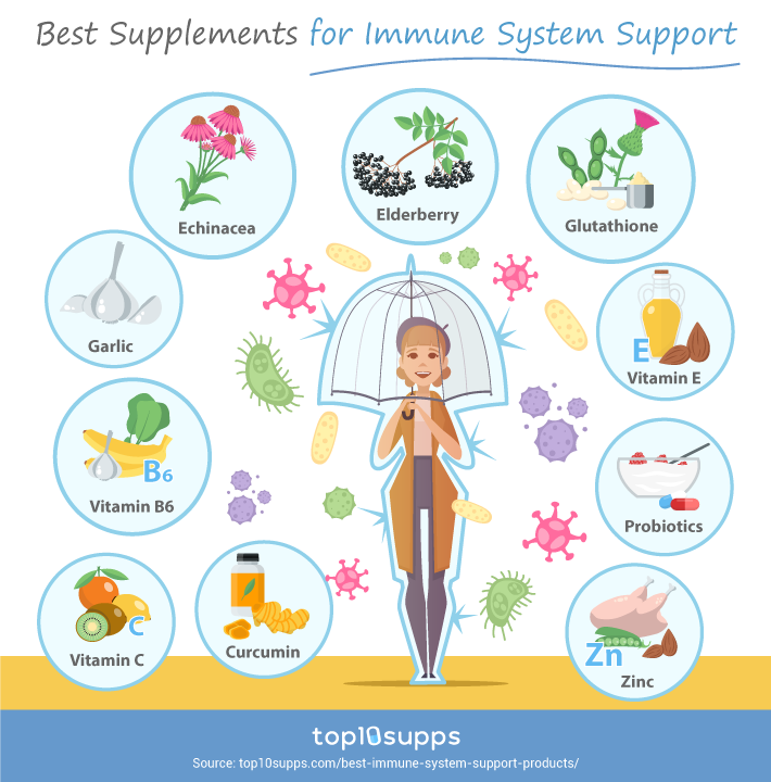 Best Supplements For Immune System Support Infographic From Top10supps