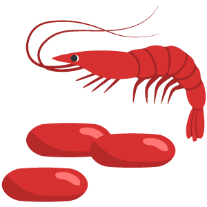 Krill Oil Extract