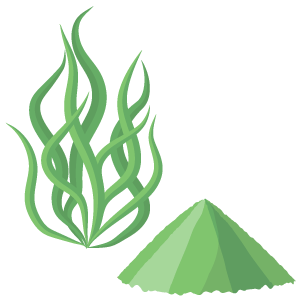 Spirulina Extract