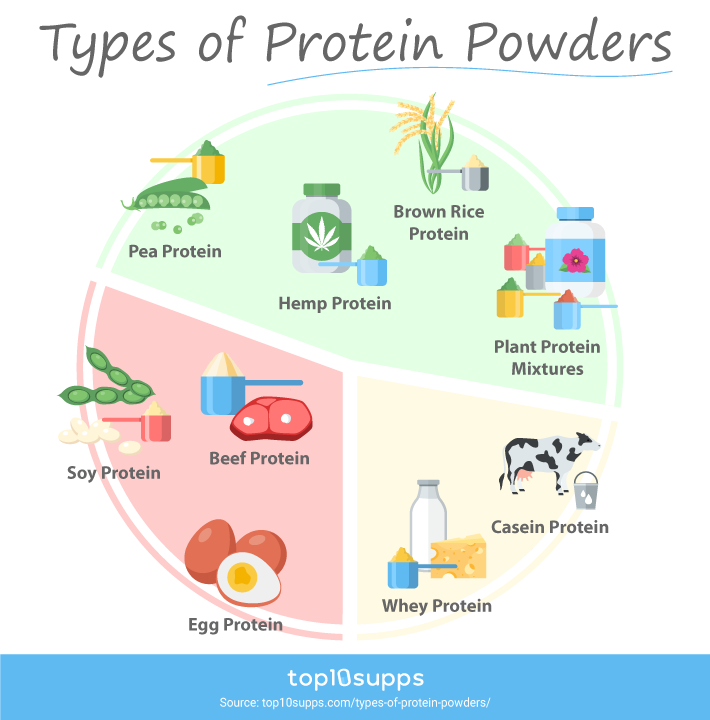 The 9 Types Of Protein Powders Compared Infographic From Top10supps