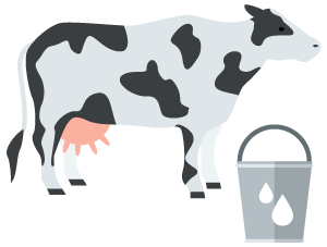 Casein Protein Powder