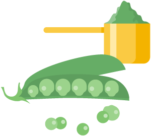 Pea Protein Powders