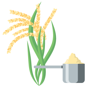 Rice Protein Powder