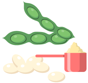 Soy Protein Powder