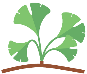 Ginkgo Biloba Extract