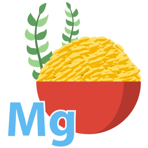 Sources Of Magnesium