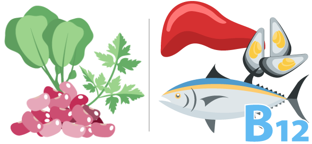 Sources Of Vitamin B12 & Folate
