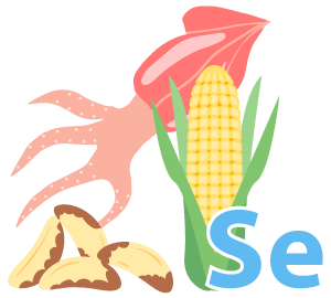Sources Of Selenium