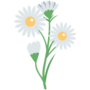 Chamomile Extract