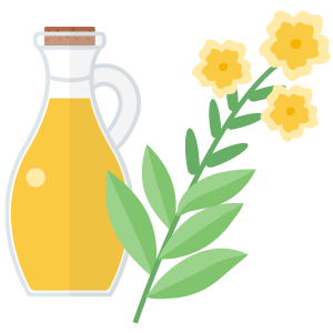 Evening Primrose Oil Extract