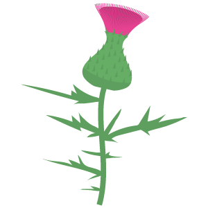 Milk Thistle Extract
