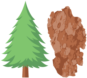 Pine Bark Extract Supplements