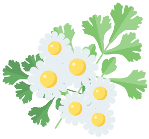 Feverfew Extract