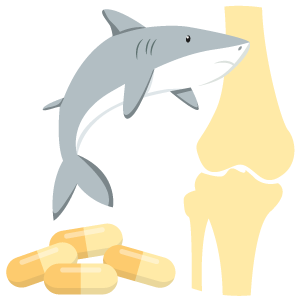 Sources Of Chondroitin