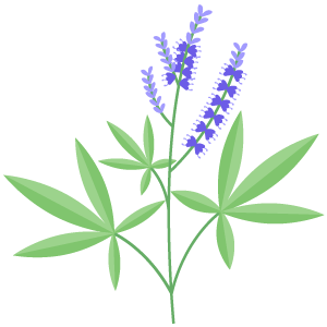 Vitex Extract