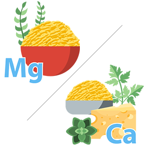 Magnesium And Calcium
