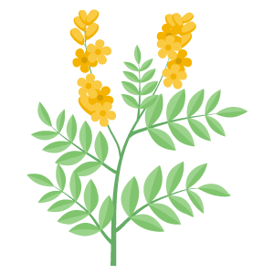 Senna Extract