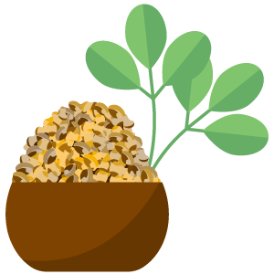 Fenugreek Extract