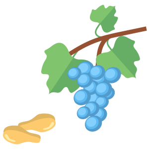 Grape Seed Extract