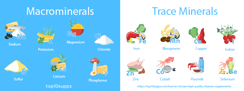 Macrominerals And Trace Minerals Chart From The Top10supps
